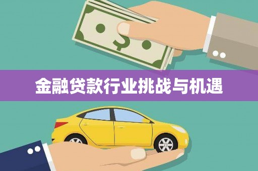 贞丰金融贷款行业挑战与机遇