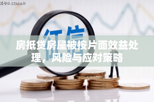 漳县房抵贷房屋被按片面效益处理，风险与应对策略